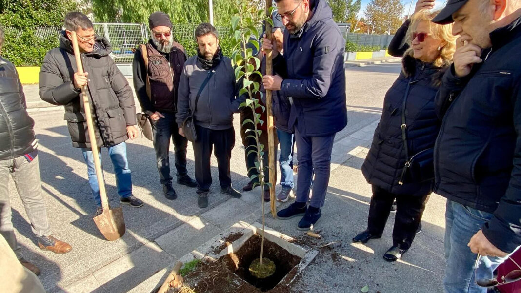 Nuovi alberi per Angri. Un impegno per il verde urbano _ Sestante.tv