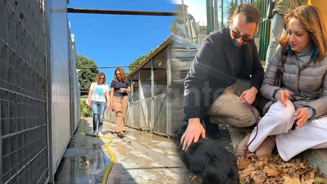 Carmen Fattoruso e Giuseppe Del Sorbo _ sestantetv