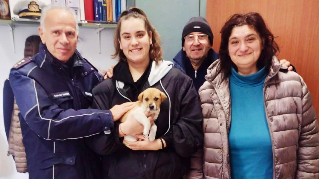 Cava de’ Tirreni. Bella, cucciola abbandonata, trova famiglia amorevole _ sestantetv