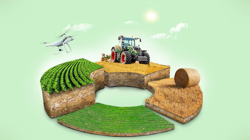 ZES Agricoltura _ sestante.tv (freepik)