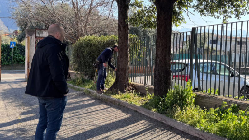 Angri, verifiche sugli alberi nelle scuole e formazione studenti ProfAgri