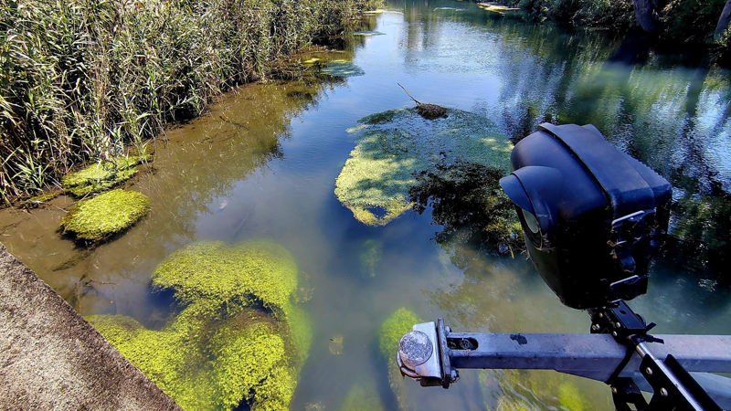 Riverwatch. Il Consorzio di Bonifica Sarno partecipa al progetto nazionale