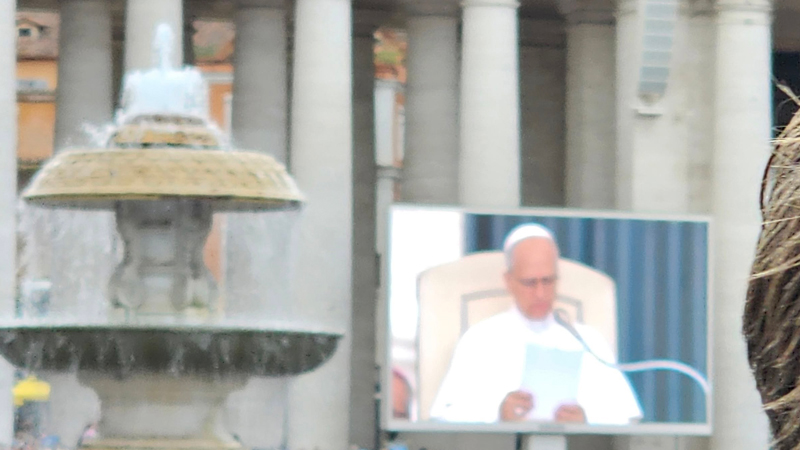 Autismo e ABA ETS. Difficoltà e speranza davanti a Papa Francesco - sestante.tv