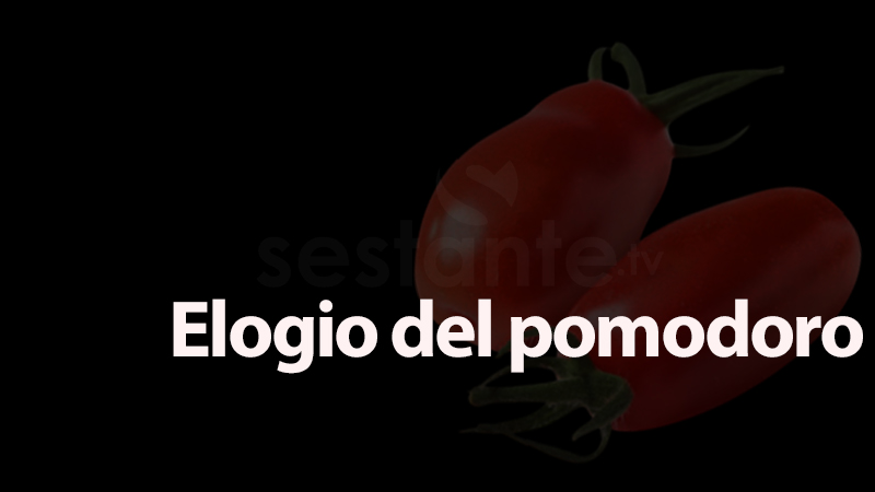 Elogio del Pomodoro - sestante.tv