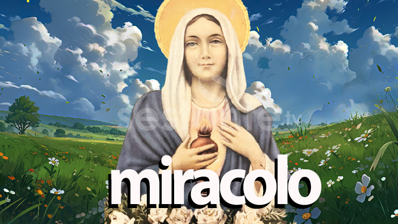 Angri. La Madonnina delle Lacrime - sestante.tv