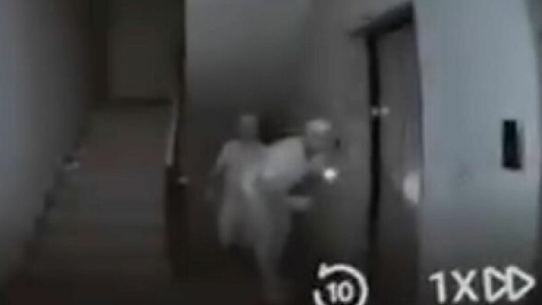 Ladri in azione - sestante.tv