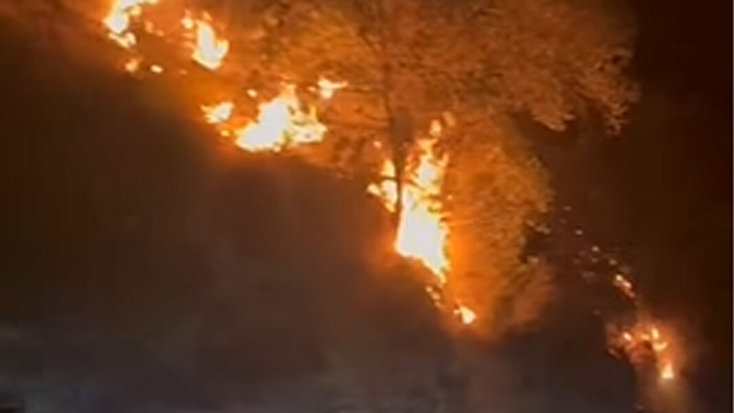 Incendio boschivo - sestante.tv