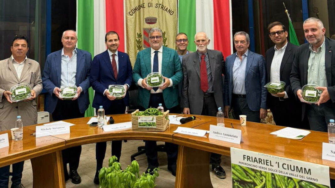Striano. Friariello 'I Ciumm dalla Valle del Sarno la sfida per l’IGP - sestante.tv